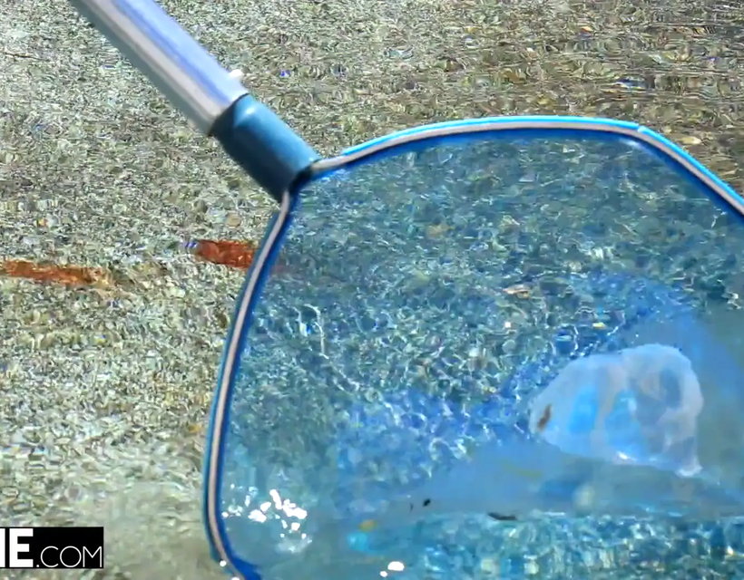 Mia Malkova Loves Riding His Big Cock