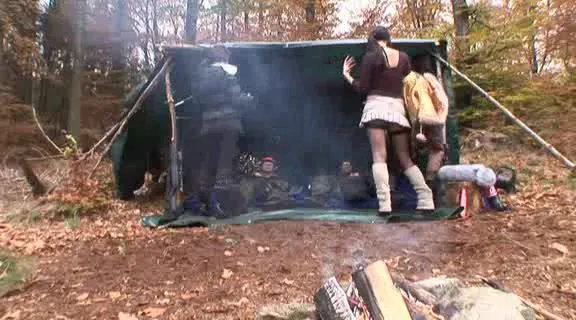 European forests are full of sex