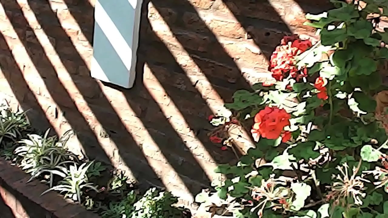 Compiled t,r with Morena for almost half an hour, and it gets more intense Lola and Candy 2024