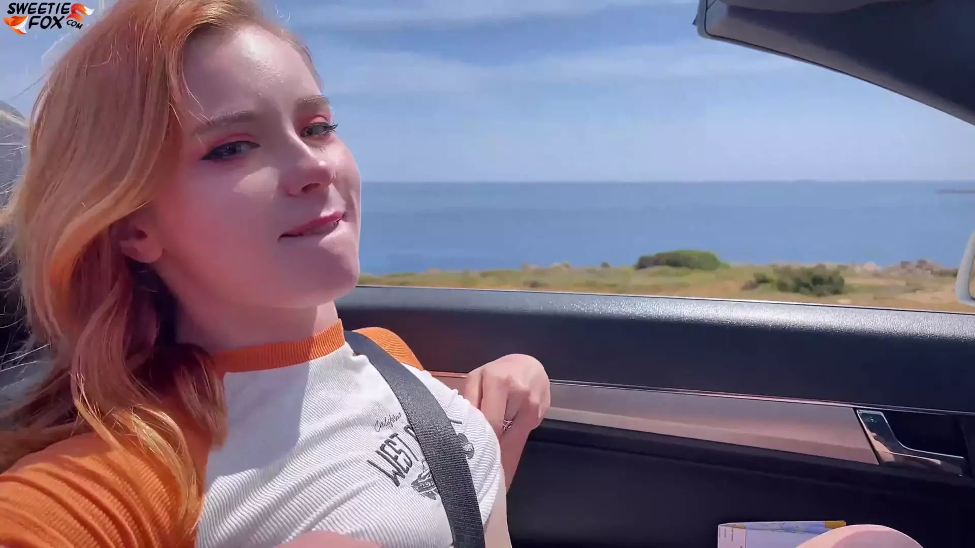 Girl Sucking Dick Stranger in Car and Fuck on a Rest